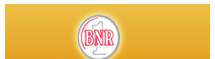 BNR Capital Services Pvt.Ltd.