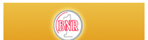 BNR Stock Broking  Pvt.Ltd.
